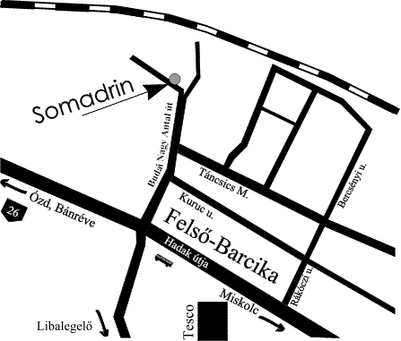 térkép